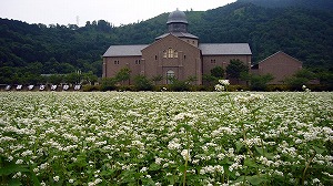 滋賀県立安土城考古博物館