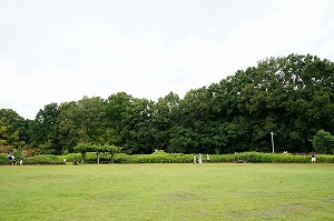 高山竹林園