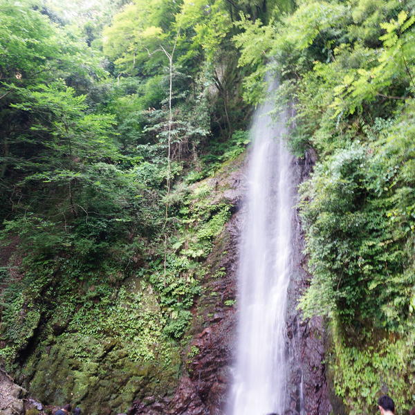 自然のパワーとマイナスイオンで、身も心も清められる「日本の滝百選」