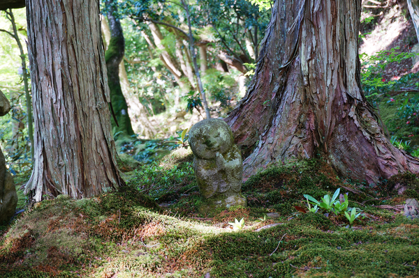 京の隠れ里をゆっくり歩こう。京都大原の観光スポット６選。