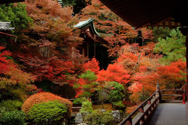 一度は行きたい、京都のすばらしい紅葉スポット１０選