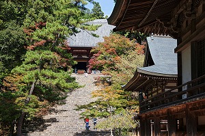 高雄山神護寺