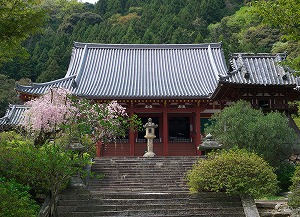 矢田寺